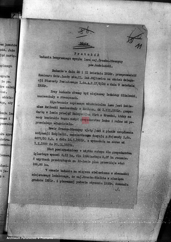 Obraz 15 z jednostki "Las majętności Bieczyny powiat kościański"