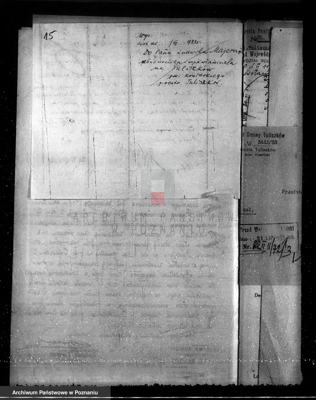 Obraz 19 z jednostki "Sprawa wydzielenia gruntów leśnych z majątku Rysin powiat koniński"