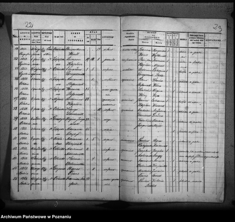 Obraz 15 z jednostki "Duplicat baptisatorum, copulatorum, mortuorum"