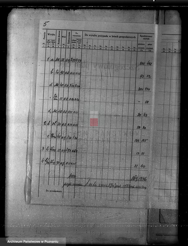 Obraz 9 z jednostki "Plan urządzania gospodarstwa leśnego dla lasu majętności Borówkowo-Stare i Piotrkowice powiat kościański"