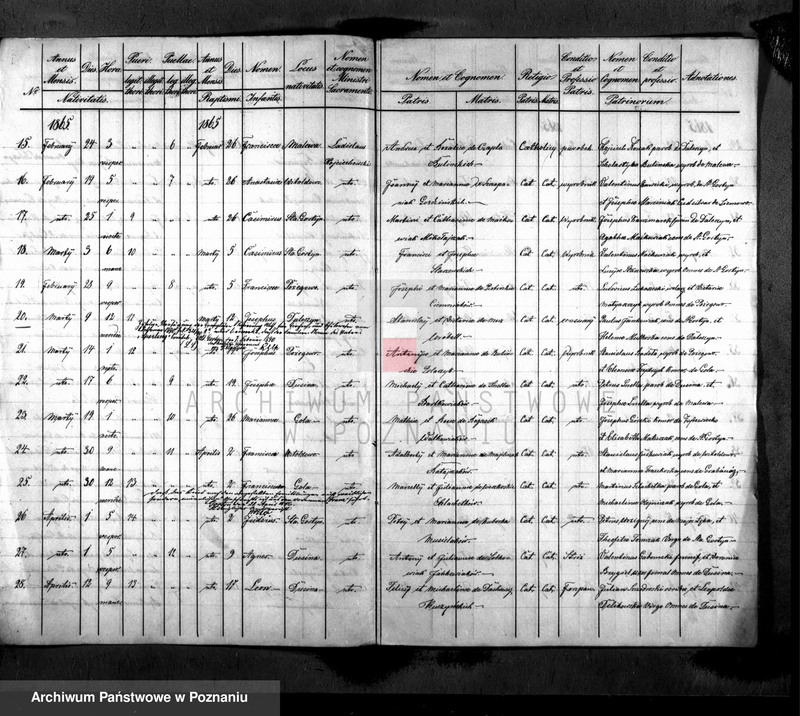 Obraz 3 z jednostki "Liber baptisatorum"