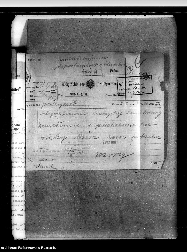 Obraz 14 z jednostki "Zarząd Stadnin Starogard"