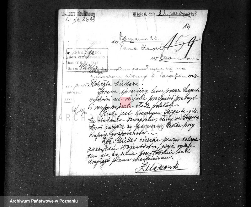 Obraz 18 z jednostki "/Nadzór nad lasami majętności Maciejewo w powiecie czarnkowskim/"