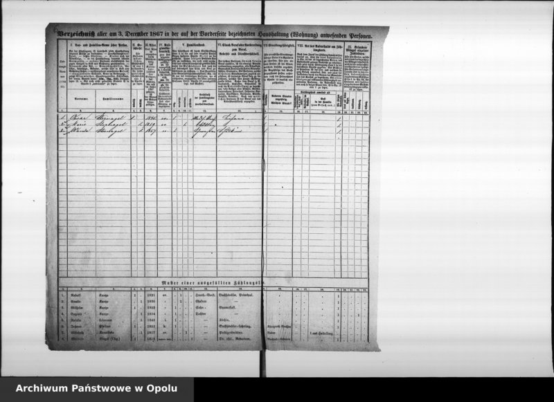 Obraz 10 z jednostki "Zählbezirk 26 [Spis ludności, 1867]"