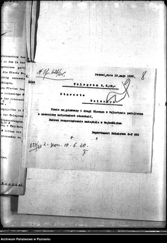 Obraz 12 z jednostki "Nosacizna - Wolsztyn"