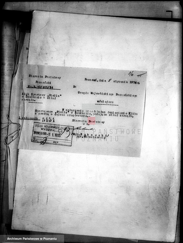 Obraz 20 z jednostki "Klub Sportowy,,Stella" w Żabikowie/"