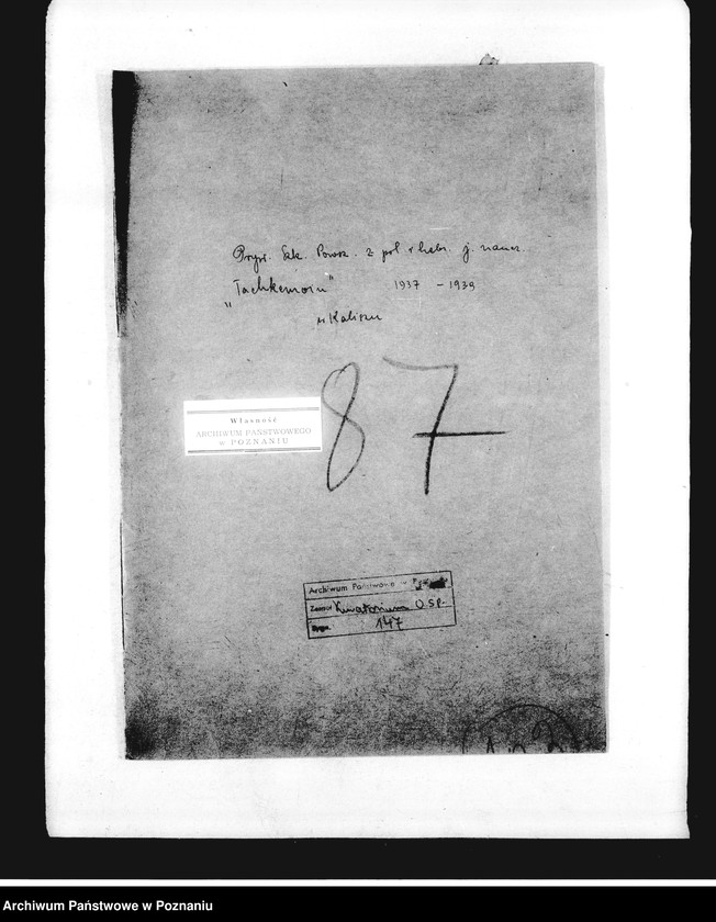 Obraz 4 z jednostki "Prywatna Szkoła Powszechna z polskim i hebrajskim językiem nauczania "Tachkemoni" w Kaliszu"