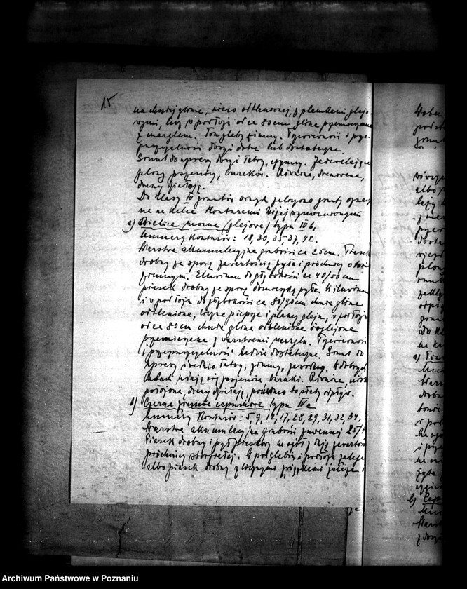 Obraz 19 z jednostki "Operat szacunkowy majątku Łukom powiatu konińskiego"