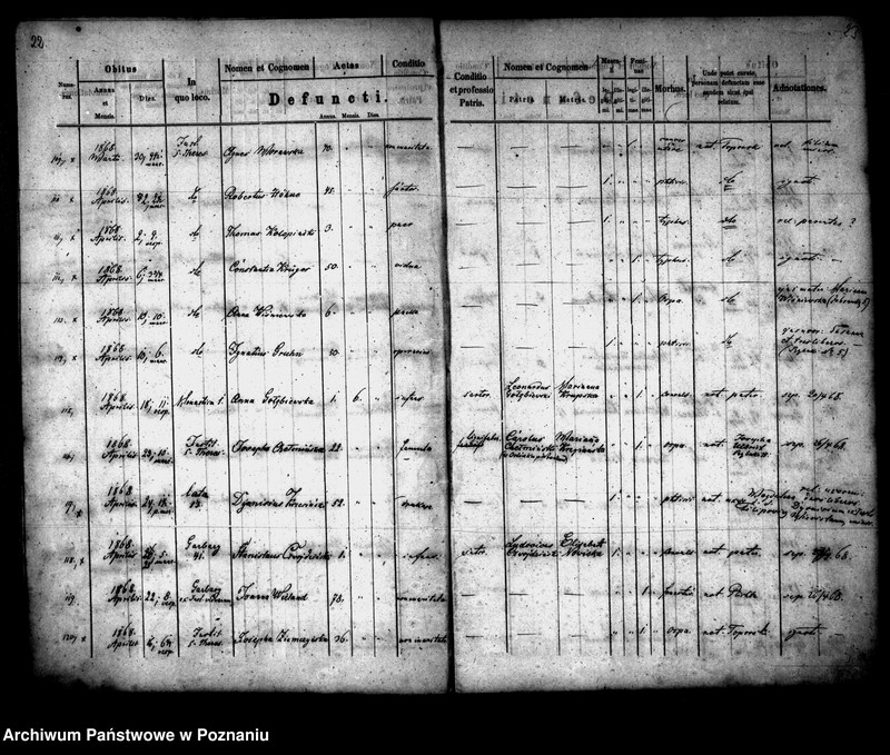 Obraz 13 z jednostki "Księga zgonów"