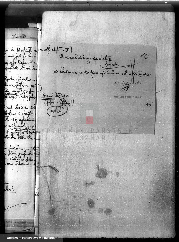 Obraz 16 z jednostki "Probostwo Oborniki /Nadzór nad gospodarką leśną/"