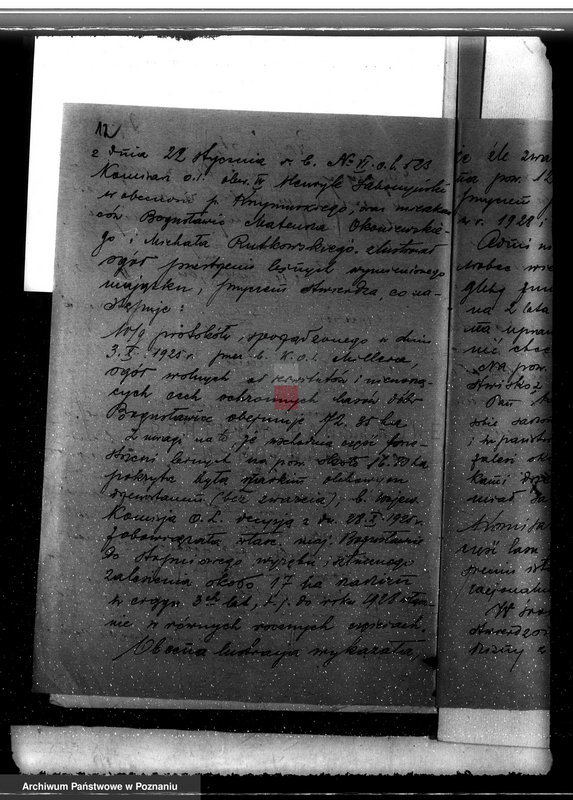 Obraz 16 z jednostki "Sprawa wyłączenia obszarów leśnych z majątku Bogusławice powiatu kolskiego"