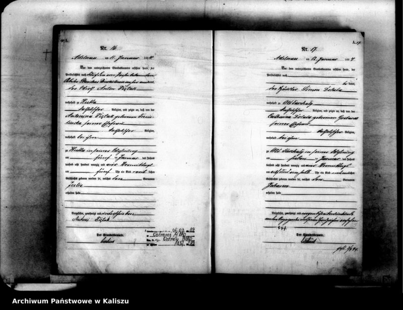 Obraz 12 z jednostki "[Księga urodzeń]"