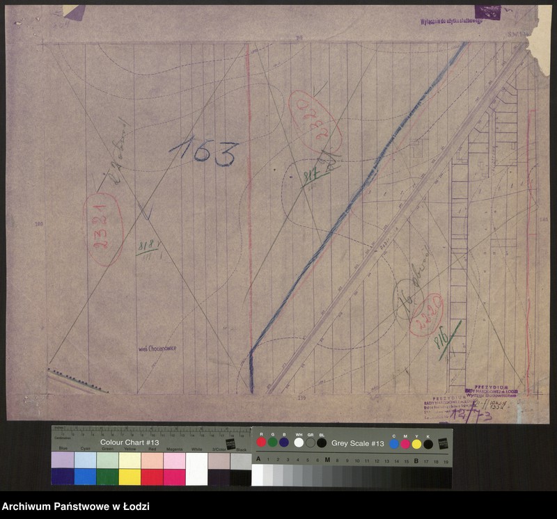 Obraz 1 z jednostki "Plan m. Łodzi 1:2000 z oznaczeniem podziału miasta na obwody i rejony spisowe. Sekcja SW104"