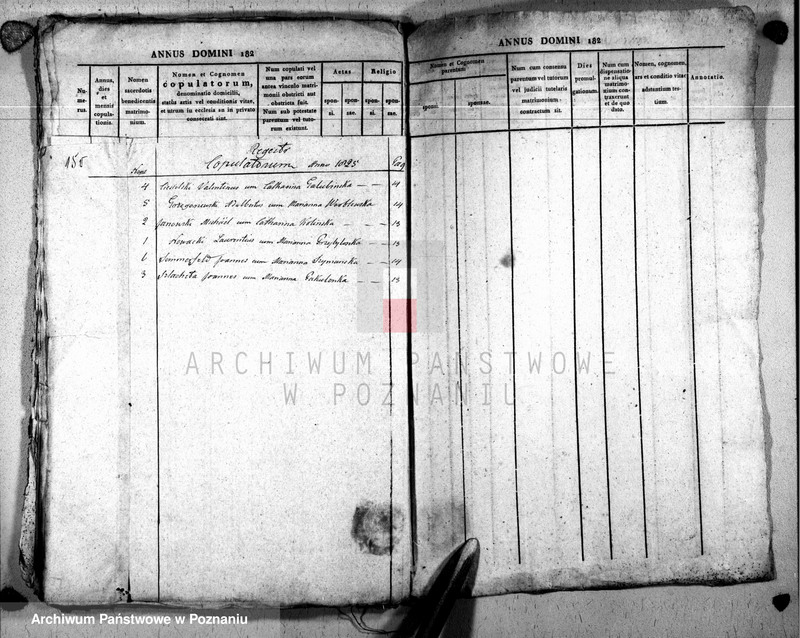 image.from.unit.number "Duplikat baptisatorum, copulatorum u. mortuorum"