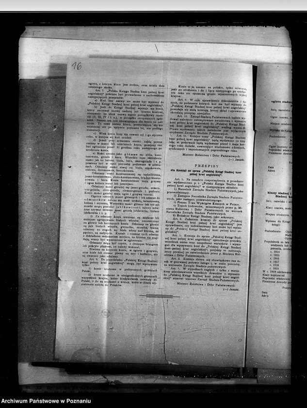 Obraz 20 z jednostki "Sprawy stadnin stadniny - ogólne zarządu stadnin"