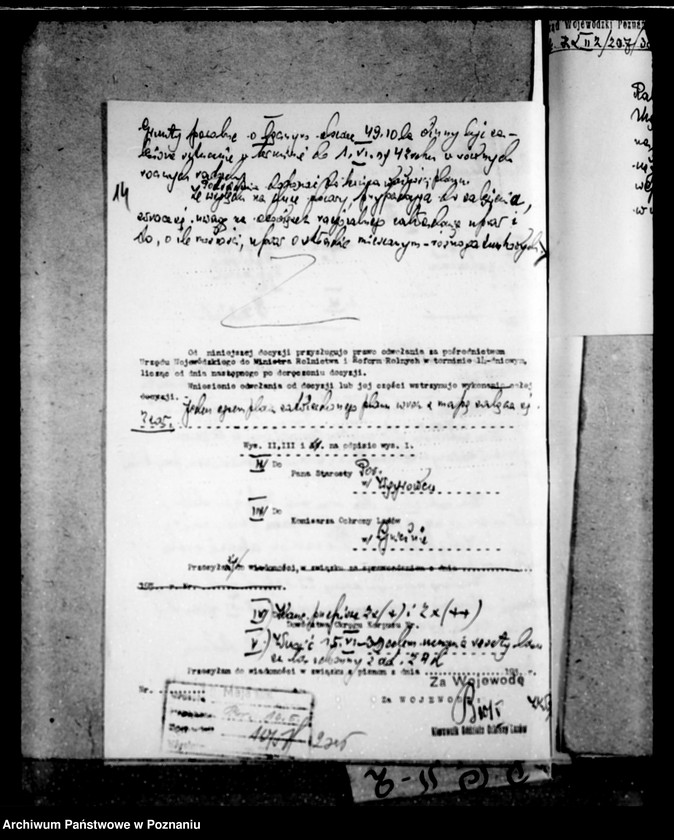 Obraz 18 z jednostki "Majętność leśna Rakojady powiat wągrowiecki"