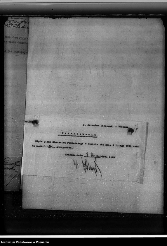 Obraz 10 z jednostki "Lasy majątku Brzeźno powiat koniński"