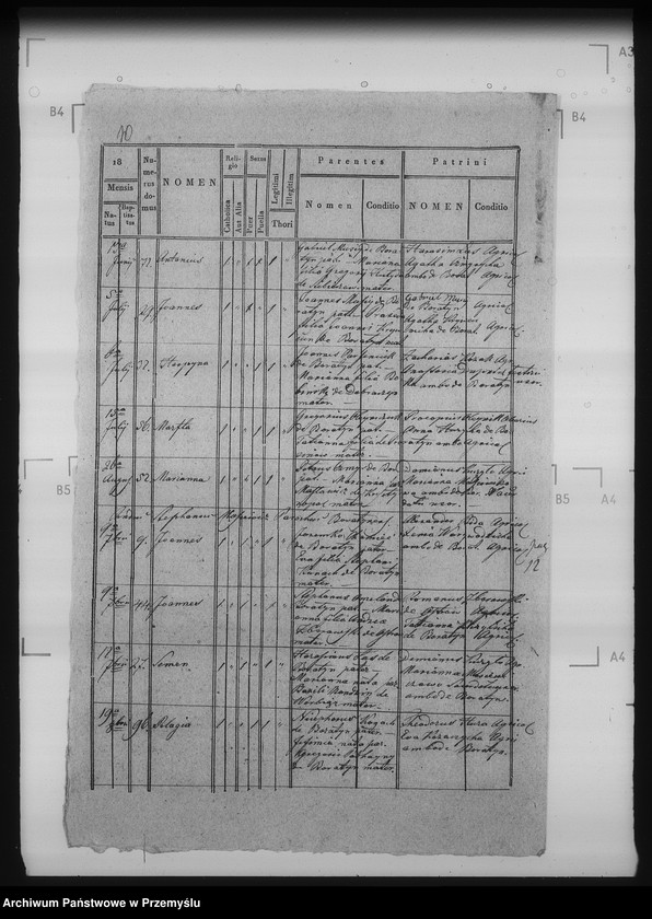 Obraz 16 z jednostki "[Kopie ksiąg metrykalnych parafii Boratyn wieś Boratyn (dekanat Bełz)]"