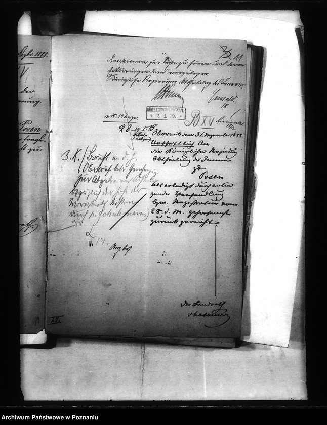 Obraz 15 z jednostki "Entwaesserung von Mścikowo im Kreise Obornik"