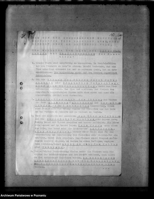 Obraz 14 z jednostki "Notschlachtungen"