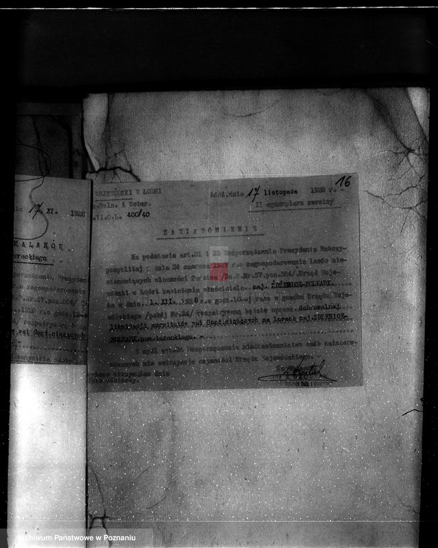 Obraz 20 z jednostki "Zmiana częściowej zmiany orzeczenia dotyczącego lasu majątku Zdzenice powiat turecki"