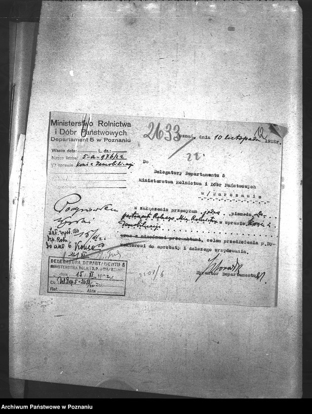 Obraz 16 z jednostki "Konie"