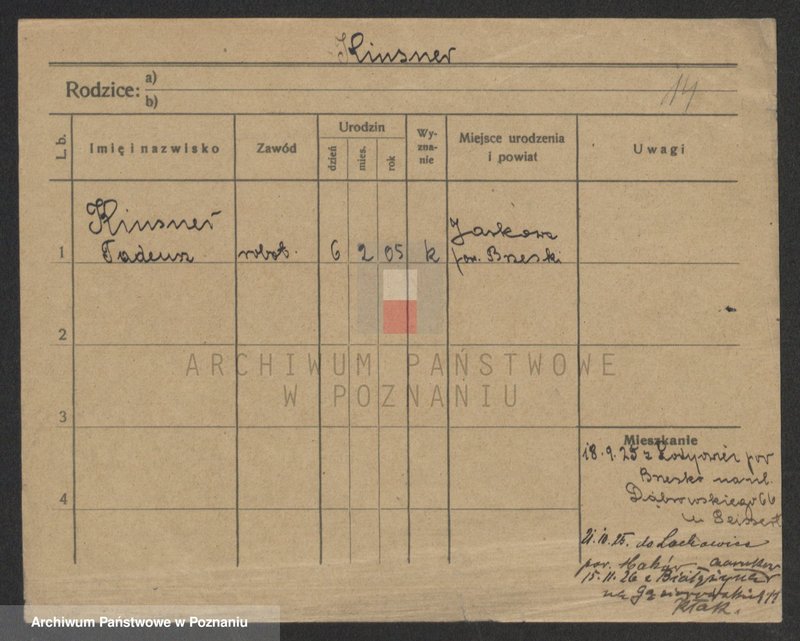 Obraz 14 z jednostki "Kinski - Kirstok"