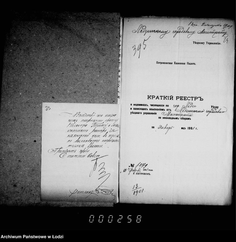 Obraz 19 z jednostki "O nedoimkach po knigam Lodzinskago Uezdnago Kaznačejstva za I polovinu 1901 goda"