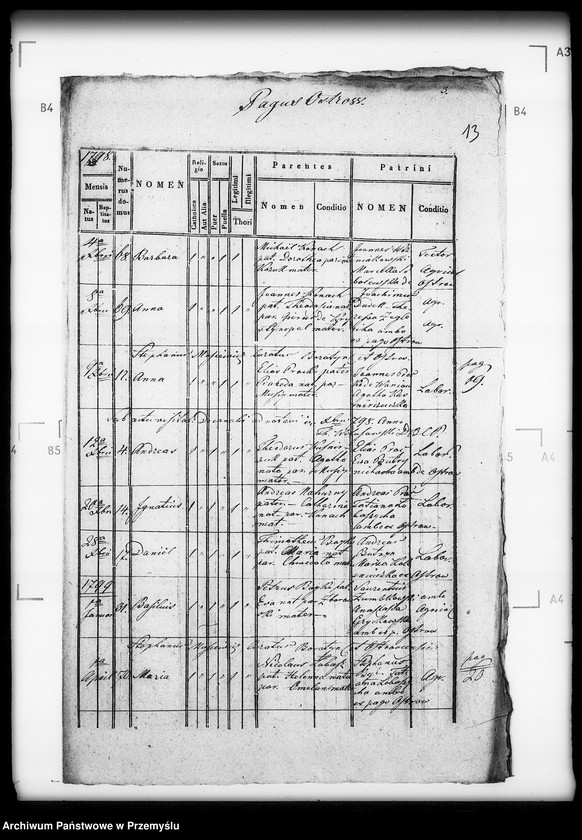 Obraz 17 z jednostki "[Kopie ksiąg metrykalnych parafii Boratyn z filią Ostrów (dekanat Bełz)]"