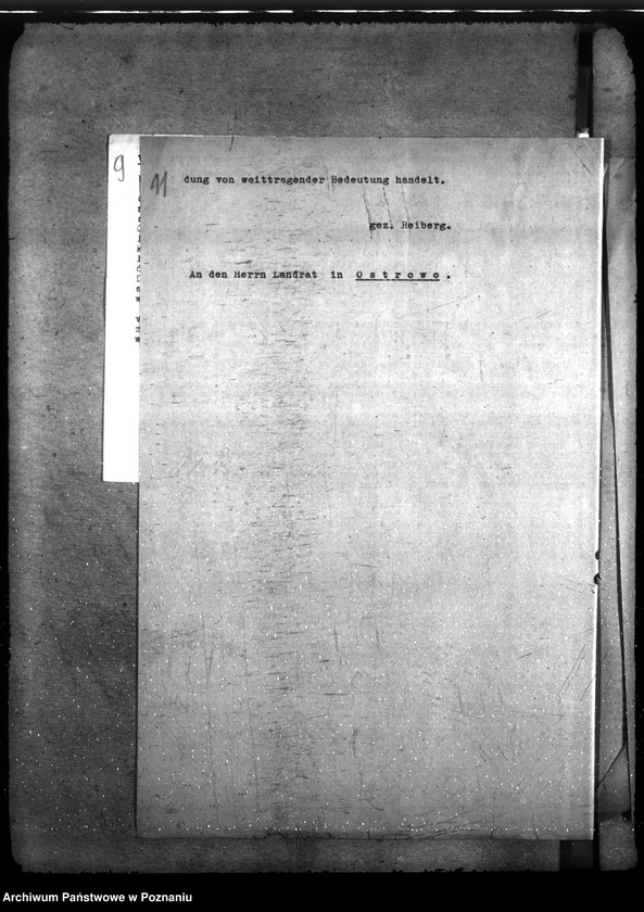 Obraz 15 z jednostki "Zarządzanie i gospodarowanie lasami gminnymi"