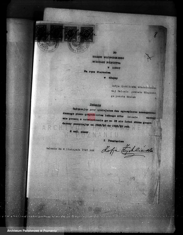 Obraz 11 z jednostki "Sprawa zmiany rodzaju użytkowania 14,42 ha gruntów leśnych w majątku Zalesie powiatu słupeckiego i zatwierdzenie planu gospodarczego"