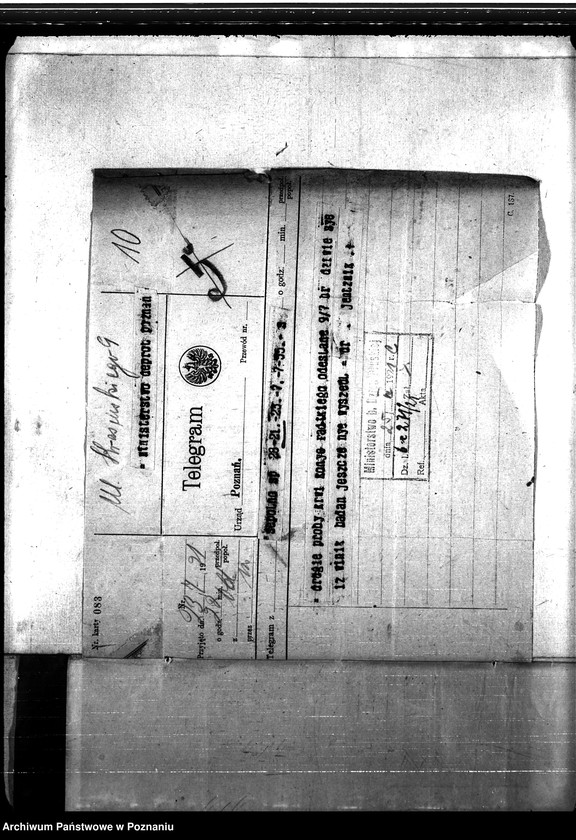 Obraz 14 z jednostki "Nosacizna - Sempolno"