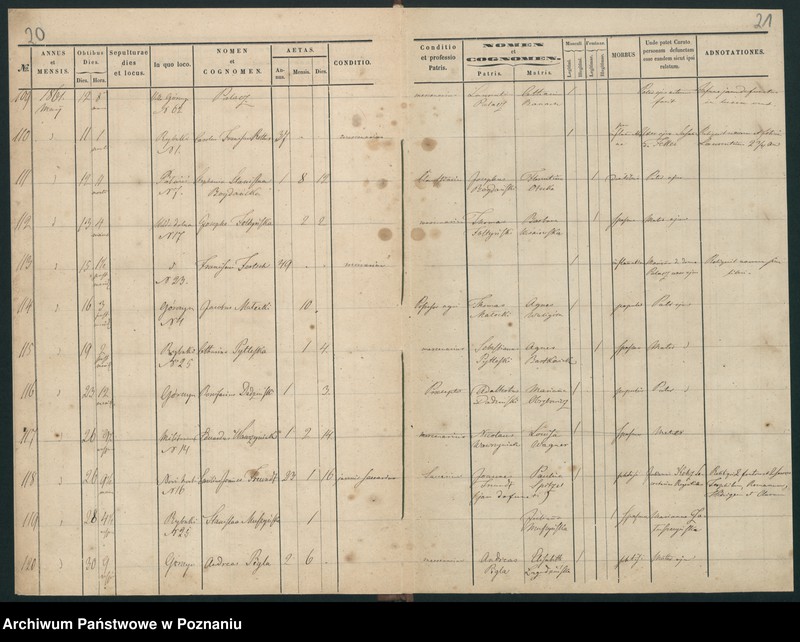 Obraz 13 z jednostki "Księga zgonów"