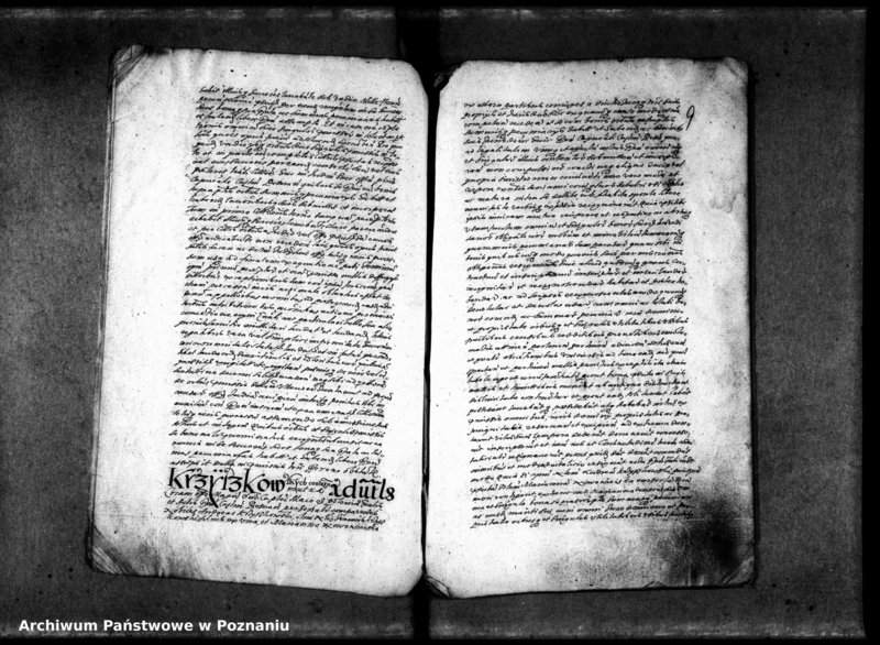 Obraz 15 z jednostki "Resignationes [inducta]"