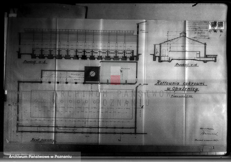 Obraz 14 z jednostki "Cukrownia Opalenica Spółka Akcyjna, nr woj. 1598"