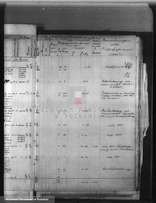 Obraz 17 z jednostki "Majętność /leśna/ Sobótka powiat ostrowski"