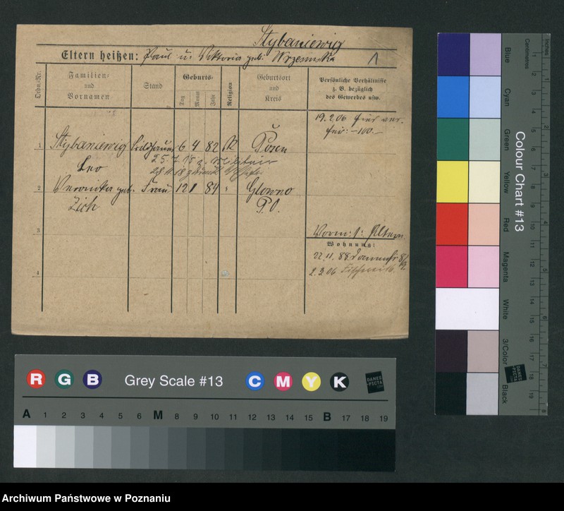 Obraz 7 z jednostki "Stybaniewicz - Suchopartka"