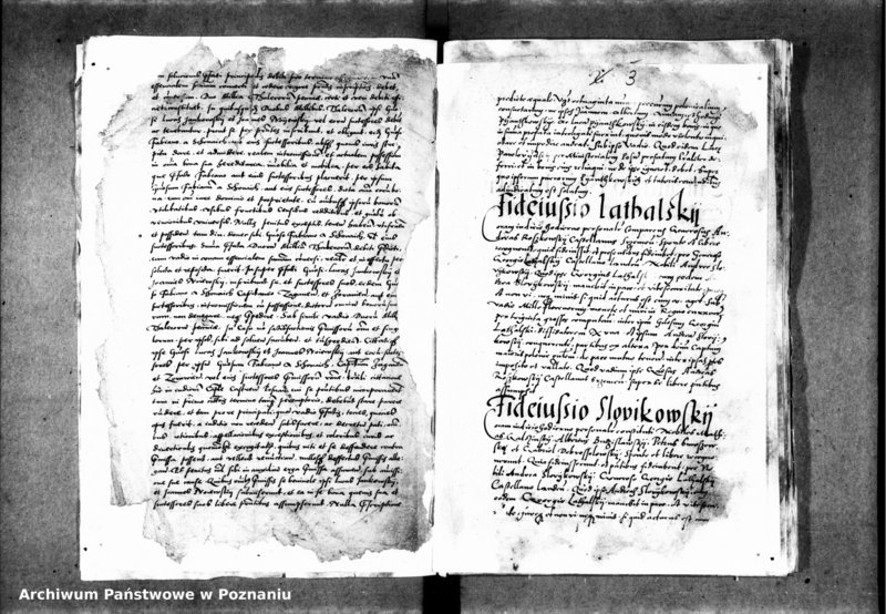 Obraz 7 z jednostki "Inscriptiones, relationes, decreta iudicii et officii [inducta]"