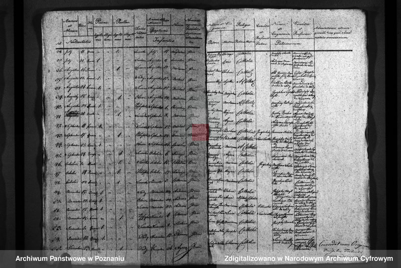 Obraz 6 z jednostki "Duplicatus baptisatorum, copulatorum, mortuorum"