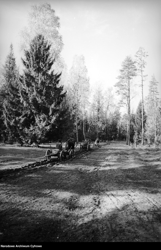 image.from.unit.number "Białowieża"