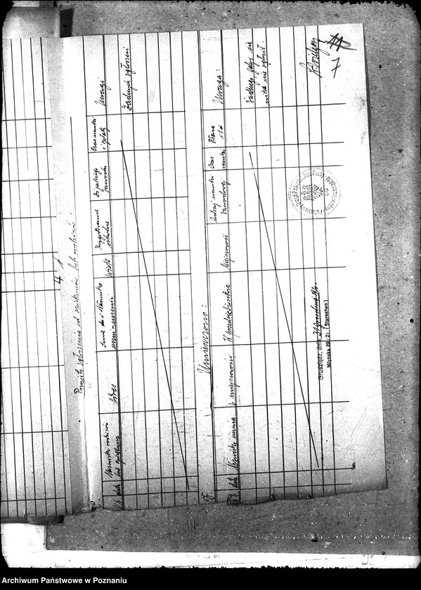Obraz 16 z jednostki "Statystyka - Pomorze [raporty stanu zatrudnienia]"