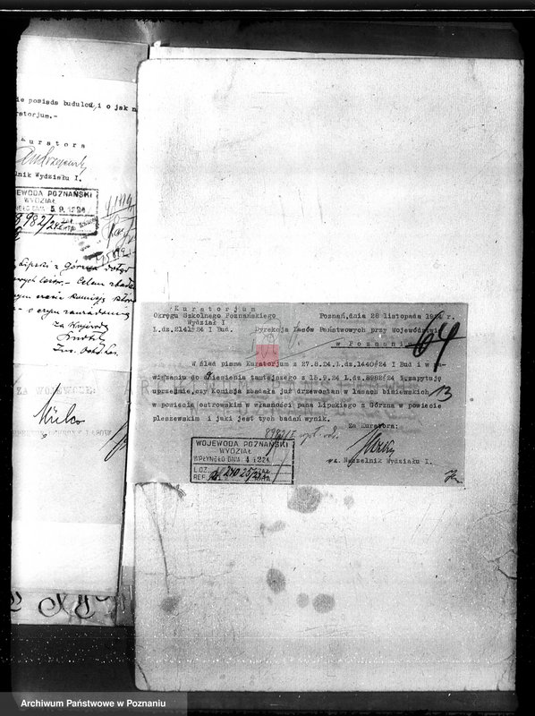 Obraz 17 z jednostki "Nadzór nad gospodarką w lasach majętności Gorzno-Biniew powiat ostrowski"