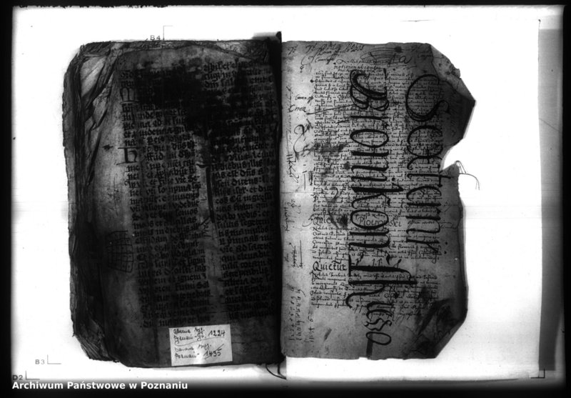 Obraz 3 z jednostki "Lib. civium, inscriptiones, relationes, decreta [inducta;protocollon]"