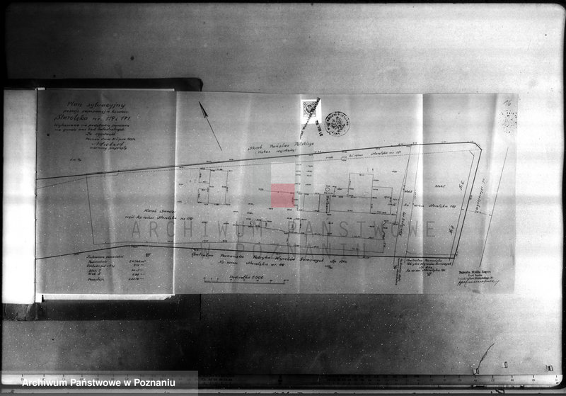 Obraz 20 z jednostki "Fabryka mydła Regera w Poznaniu nr woj. 30982"