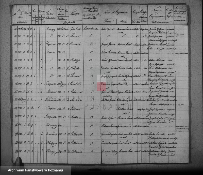 image.from.unit.number "Duplikat baptisatorum, copulatorum, mortuorum"