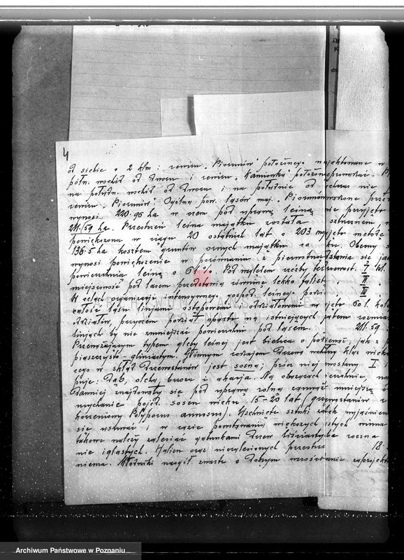 Obraz 8 z jednostki "Sprawa zmiany rodzaju użytkowania w związku z parcelacją powiat 19,5 ha gruntów leśnych w majątku Piorunów powiat koniński"