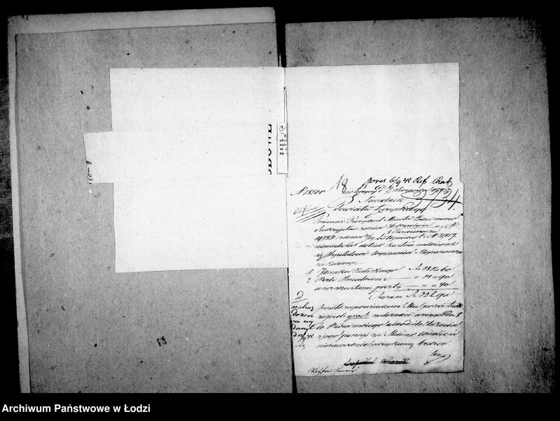 Obraz 18 z jednostki "Akta tyczące się kosztów kuracji"