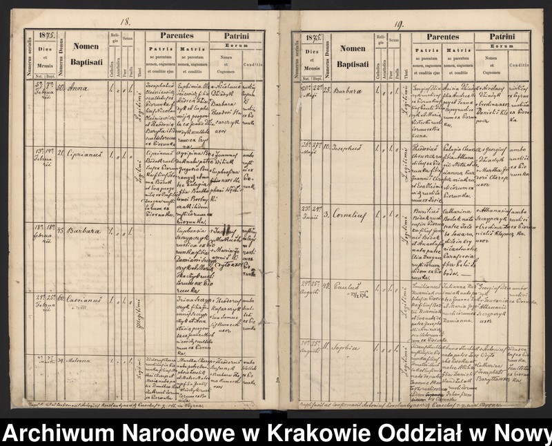 image.from.team "Akta stanu cywilnego Parafii Greckokatolickiej w Czyrnej"