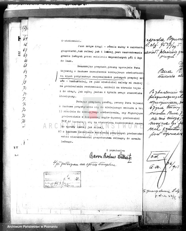 Obraz 19 z jednostki "Majętność leśna Oleśnica w powiecie chodzieskim"