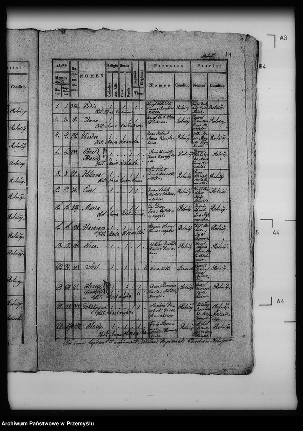 Obraz 18 z jednostki "[Kopie ksiąg metrykalnych parafii Nahujowice (dekanat Drohobycz)]"